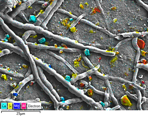 Sample courtesy of Rob Kesseler                                                