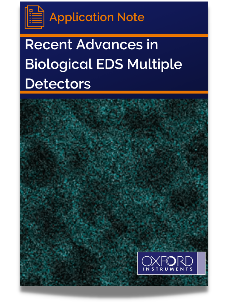 Recent Advances in Biological EDS Multiple Detectors