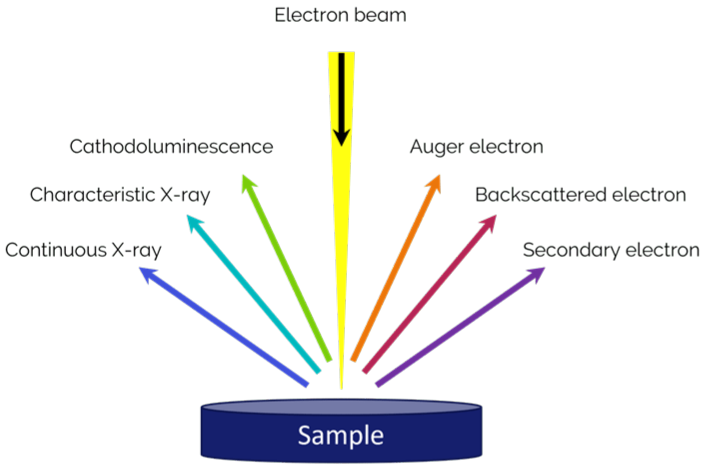 Diagram showing the interaction between the electron beam and sample for eds