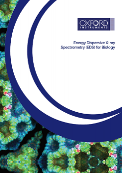 EDS Brochure