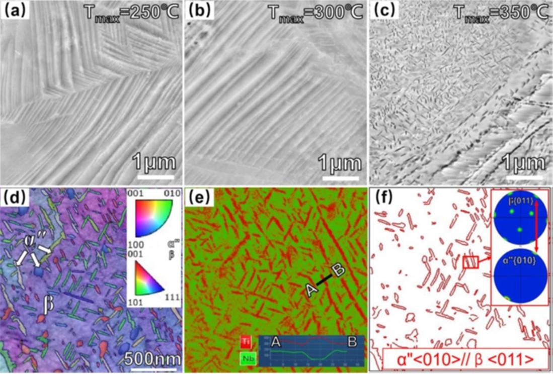 SEM backscattered electron (BSE) image