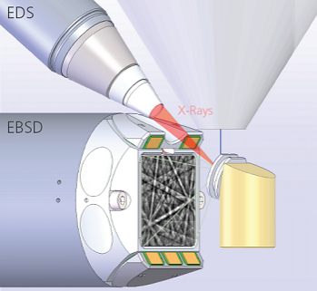 Schematic drawing of the ideal geometry for combined EBSD and EDS analyses in the SEM chamber