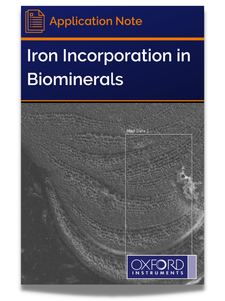Iron incorporation in biominerals - app note cover