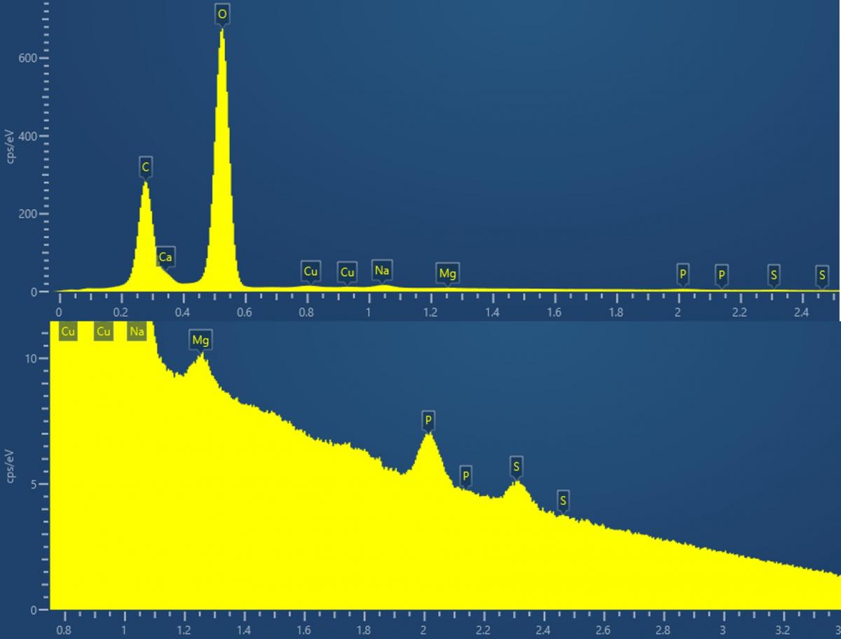 EDS spectrum of the contaminant powder showing carbon, oxygen and metals with closer analysis showing sulphur