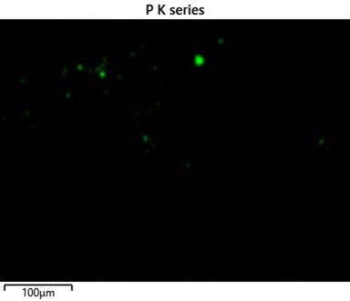Map of Overlooked P map