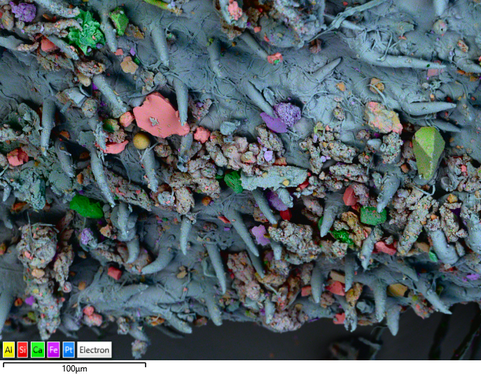 Birch Seed, acquired by Rob Kesseler