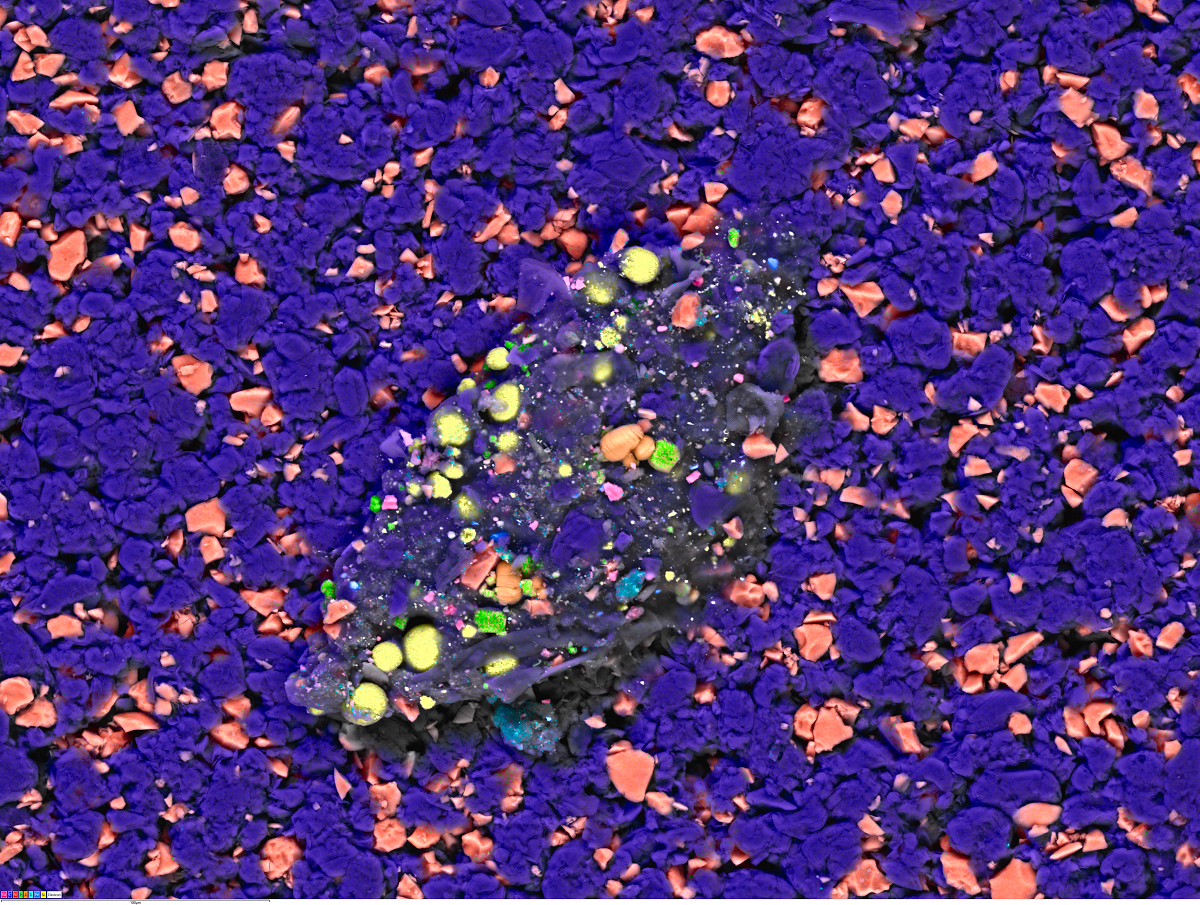 Cathode contamination in a battery anode sample