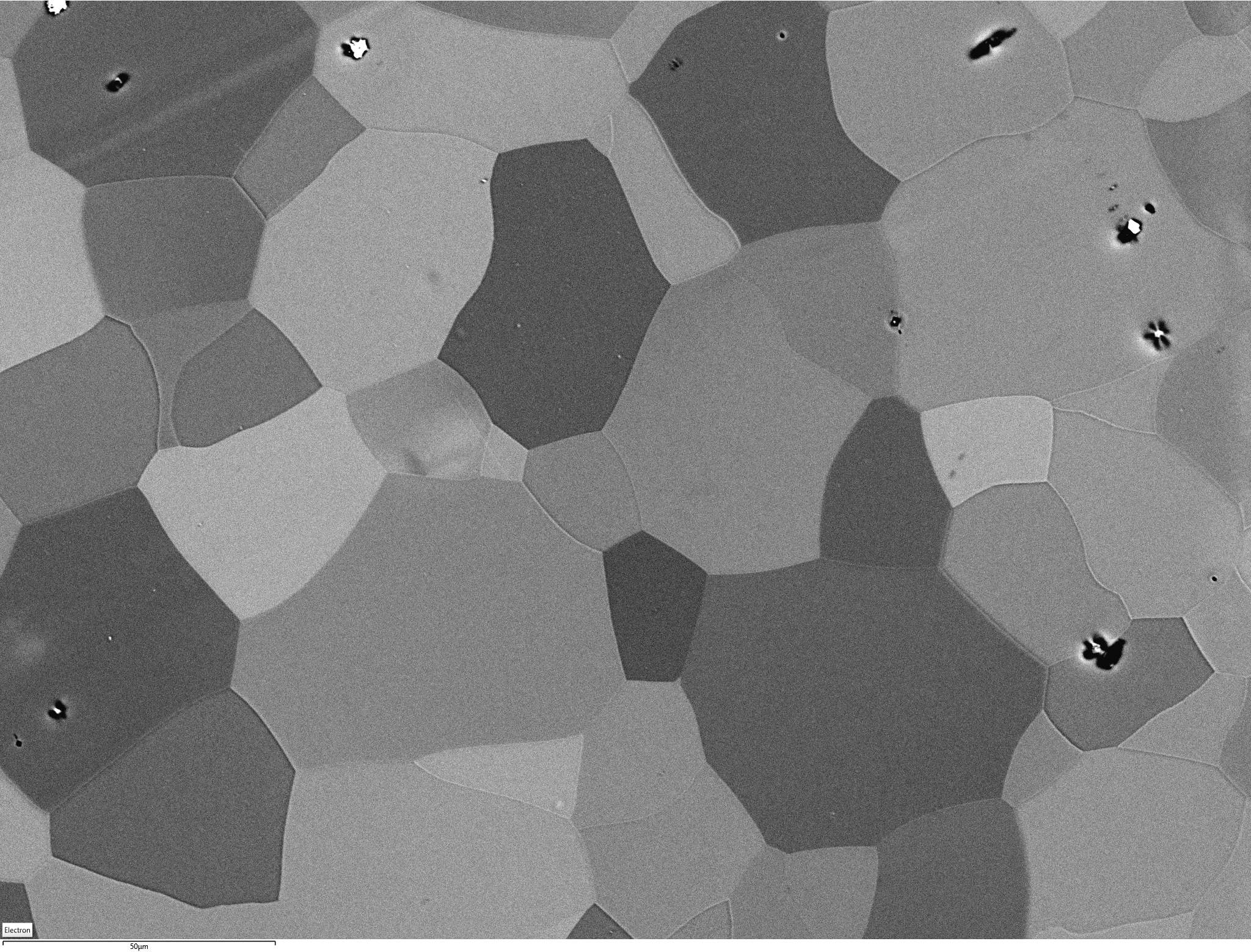 Electron Channeling Contrast Imaging of IF steel sample