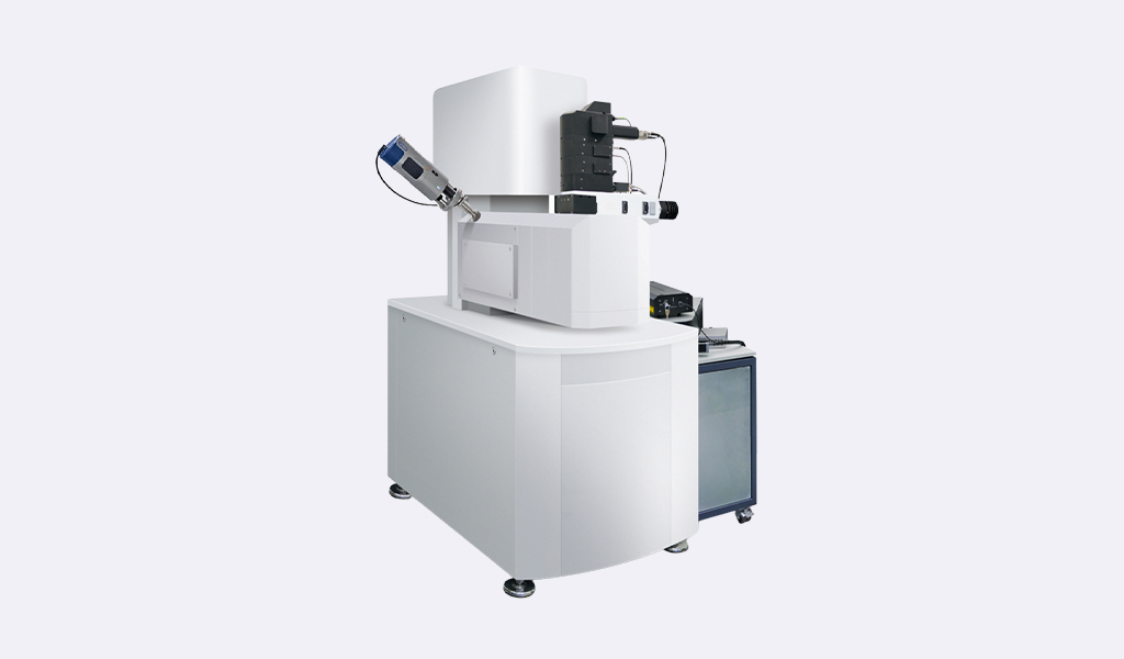 Raman-SEM Microscopes