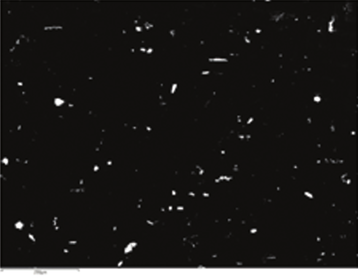 Fig. 1 BSE image showing particles on a filter