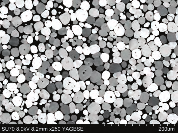Figure 1: SEM back-scattered image of the polished WHA