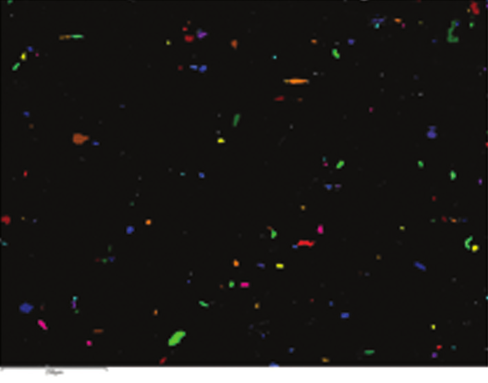 Fig. 2A – Particles meeting detection criteria are detected and coloured