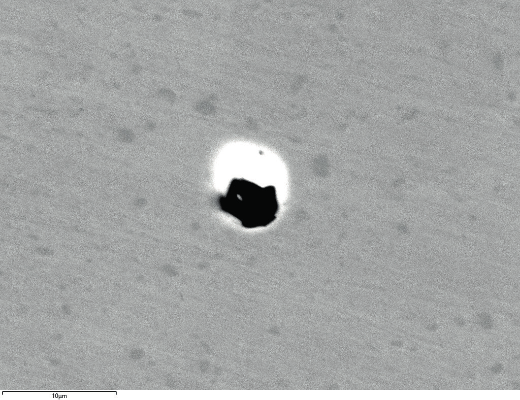 Figure 1. BSE image of a complex inclusion