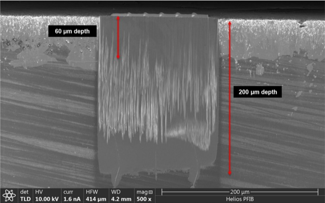 Figure 1. pFIB cross section of austenitic steel